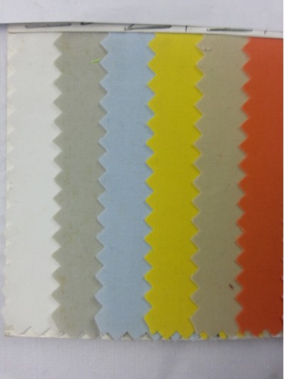 HK LNHE  T/C磨毛平纹+防水 後面照